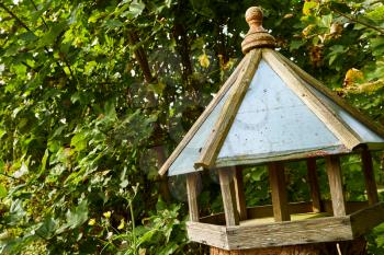 close up of a wooden blue birdhouse in garden