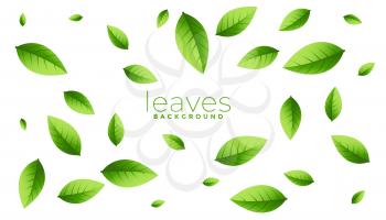 falling scattered green leaves background