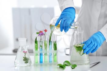 Scientist working with plants in laboratory�