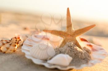 Beautiful starfish with seashells on beach sand�