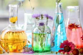Flasks with plants on table in laboratory�