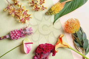Beautiful tropical flowers on color background�