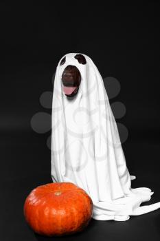 Cute dog in ghost costume and Halloween pumpkin on dark background�