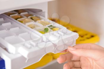 Woman putting tray with citrus fruits frozen in ice cubes into refrigerator�