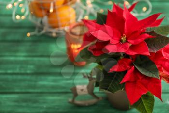 Christmas flower poinsettia on color wooden table�