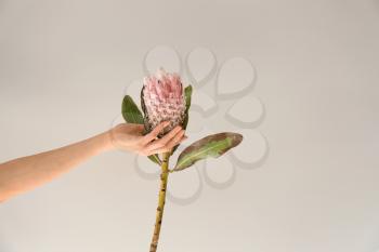 Female hand holding tropical flower on light background�