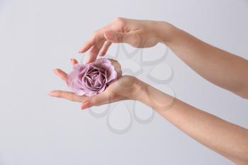 Female hands with beautiful rose on light background�