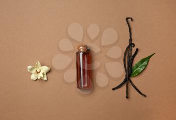 Composition with vanilla extract on color background�