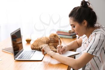 Young woman with cute funny cat working at home�