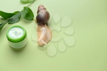 Giant Achatina snail and cosmetics on color background�
