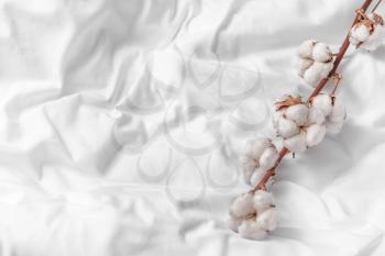 Branch with cotton flowers on bed�