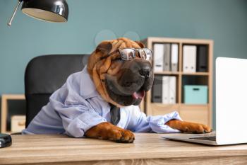 Cute funny dog dressed as businessman in office�