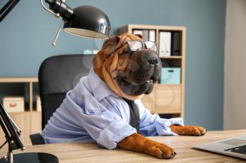 Cute funny dog dressed as businessman in office�