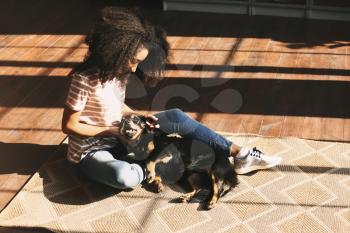 African-American woman with cute funny dog at home�