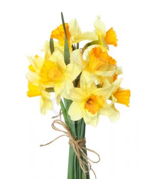 Bouquet of beautiful daffodils on white background�