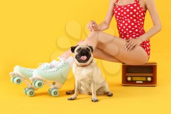 Cute pug dog and woman in roller skates sitting on retro radio receiver against color background�