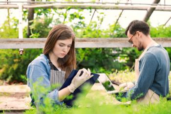 Young agricultural engineers working in greenhouse�
