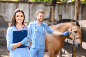 Veterinarians in paddock with horse on farm�