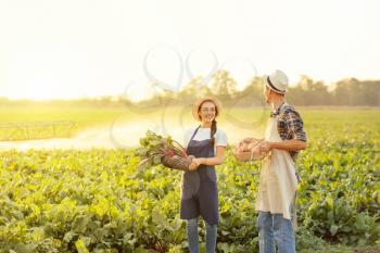 Young farmers with harvest in field�