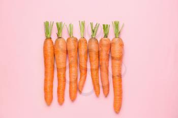 Fresh carrots on color background�