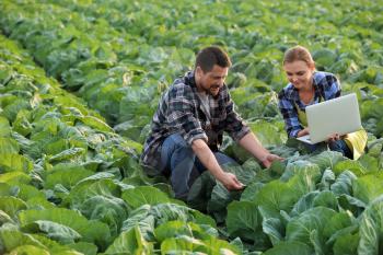 Agricultural engineers working in field�