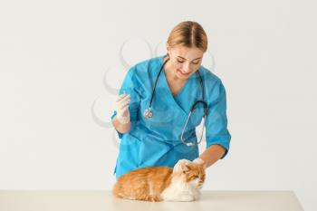Female veterinarian vaccinating cute cat on white background�