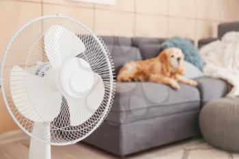 Operating electric fan and cute dog in room�