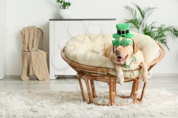 Cute dog with green hat at home. St. Patrick's Day celebration�