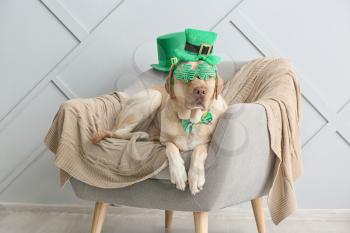 Cute dog with green hat on armchair. St. Patrick's Day celebration�