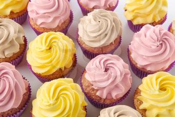 Delicious cupcakes on white background�