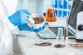 Scientist studying samples of soil in laboratory�
