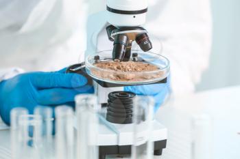 Scientist studying samples of soil in laboratory�