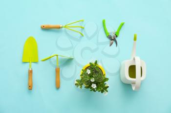 Gardening tools on color background�