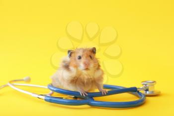 Funny hamster with stethoscope on color background. Veterinary concept�