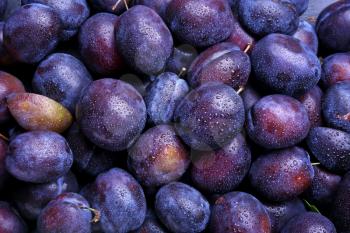 Many ripe plums as background�