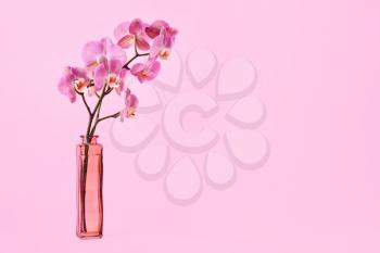 Vase with beautiful orchid flowers on color background�
