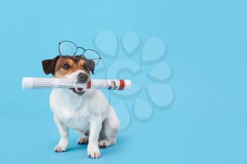 Cute dog with newspaper and glasses on color background�