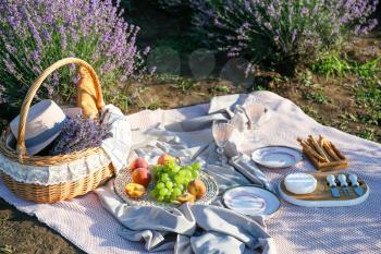 Wicker basket with tasty food and drink for romantic picnic in lavender field�