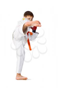 Royalty Free Photo of a Young Boy Doing Martial Arts

