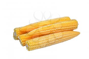 Baby corn cobs isolated on white background 