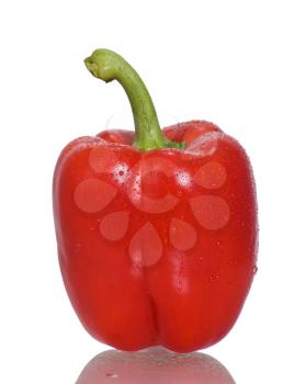Red bell pepper isolated on white Background 