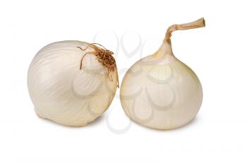 white garlic isolated on white background 