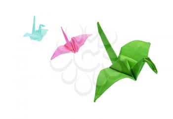 Origami birds isolated on a white background