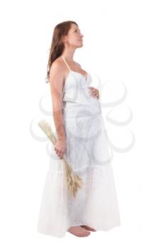 young beautiful pregnant woman with harvest isolated on white background