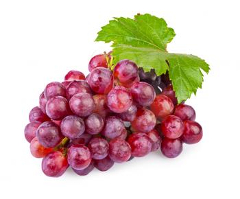 bunch of ripe red grapes with leaves isolated on  white background