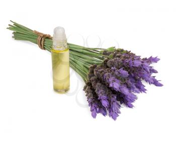 essential oil and  fresh lavender flowers as natural aromatherapy isolated on white background