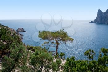 Royalty Free Photo of the Southern Coast of Crimea