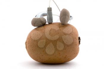 Royalty Free Photo of a Kiwi With Speakers