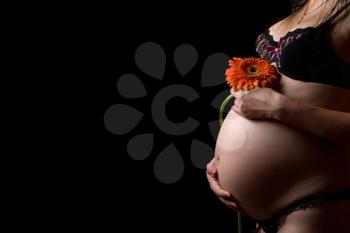 Royalty Free Photo of a Pregnant Woman Holding a Flower Over Her Stomach