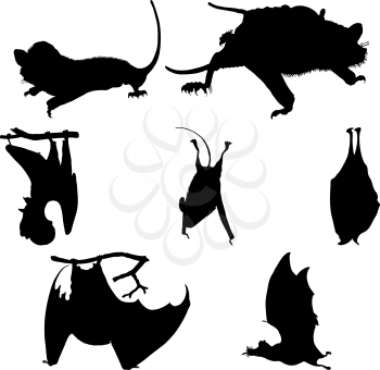 Collection of bats silhouettes. Vector illustration.